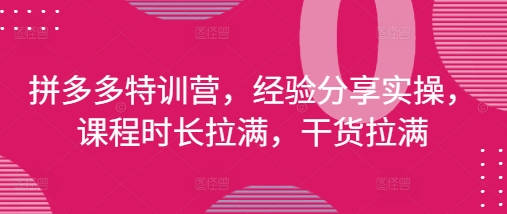 拼多多特训营，经验分享实操，课程时长拉满，干货拉满(更新25年4月)-赚钱网