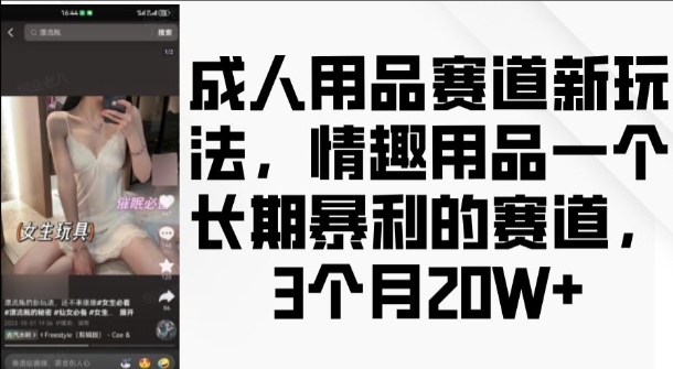 成人用品赛道新玩法，情趣用品一个长期暴利的赛道，3个月收益20个【揭秘】-赚钱网