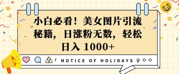 小白必看，美女图片引流秘籍，日涨粉无数，轻松日入几张【揭秘】-赚钱网