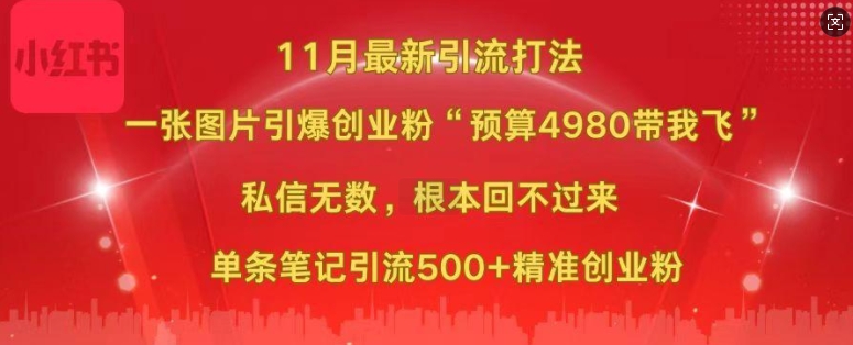 小红书11月最新图片打粉，一张图片引爆创业粉，“预算4980带我飞”，单条引流500+精准创业粉-赚钱网