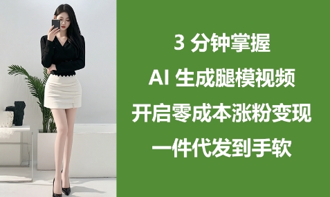 3分钟掌握AI生成腿模视频，开启零成本涨粉变现，一件代发到手软-赚钱网