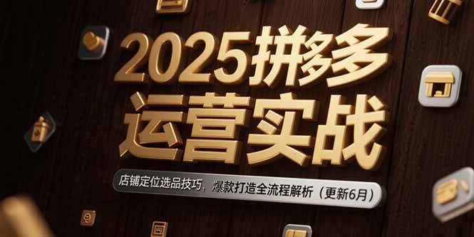 （15235期）2025拼多多运营实战：店铺定位选品技巧，爆款打造全流程解析（更新6月）-赚钱网