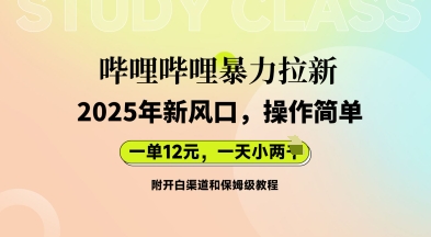哔哩哔哩暴力拉新：2025年新风口，一单12元，一天数张(附开白渠道和保姆级教程)-赚钱网