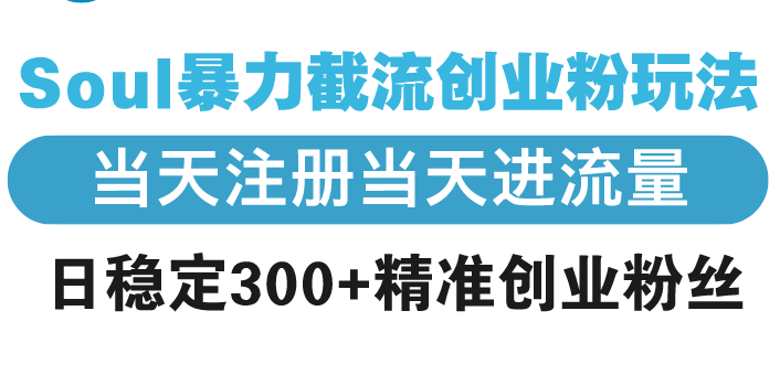 （13935期）Soul暴力截流创业粉玩法，当天注册当天进流量，日稳定300+精准创业粉丝-赚钱网