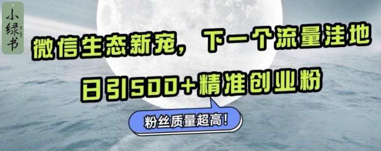 微信生态新宠小绿书：下一个流量洼地，日引500+精准创业粉，粉丝质量超高-赚钱网