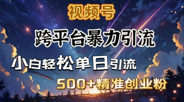 跨平台暴力引流，私域完美闭环，日引500+精准创业粉-赚钱网