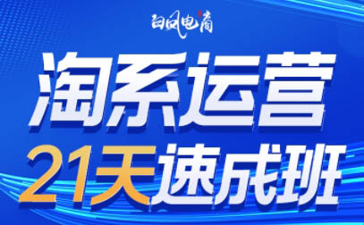白凤电商·淘系运营21天速成班(更新9月)-赚钱网
