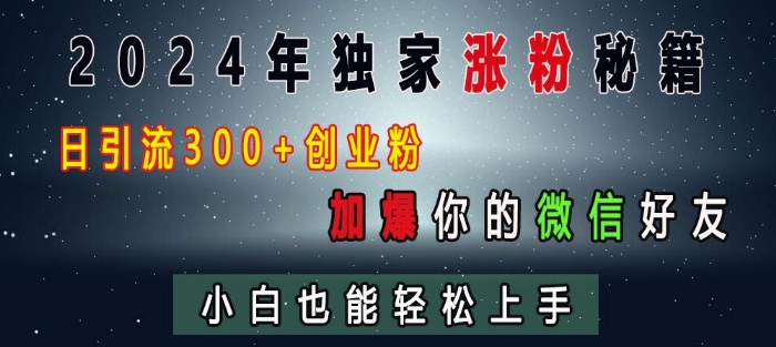 2024年独家涨粉秘籍，日引流300+创业粉，加爆你的微信好友，小白也能轻松上手-赚钱网