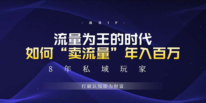 （13433期）未来如何通过“卖流量”年入百万，跨越一切周期绝对蓝海项目-赚钱网