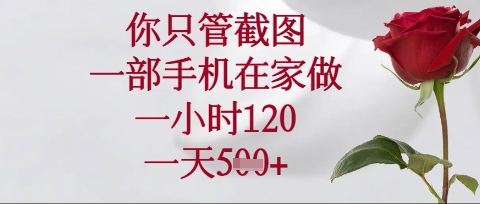 你只管截图，一部手机在家操作，一小时120.一天5张【揭秘】-赚钱网
