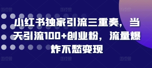 小红书独家引流三重奏，当天引流100+创业粉，流量爆炸不愁变现【揭秘】-赚钱网