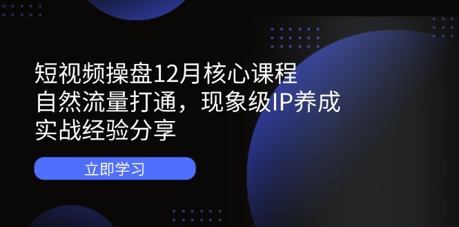 （14447期）短视频操盘12月核心课程：自然流量打通，现象级IP养成，实战经验分享-赚钱网