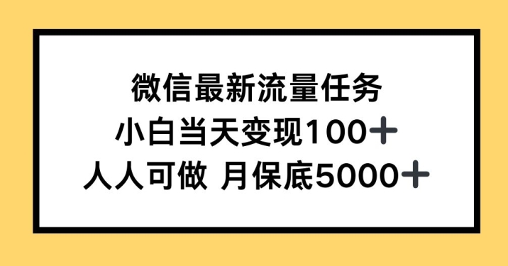 微信最新流量任务，小白当天变现100+，人人可做-赚钱网