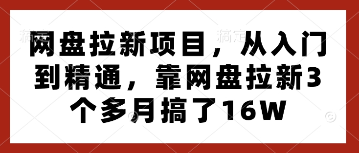 网盘拉新项目，从入门到精通，靠网盘拉新3个多月搞了16W-赚钱网