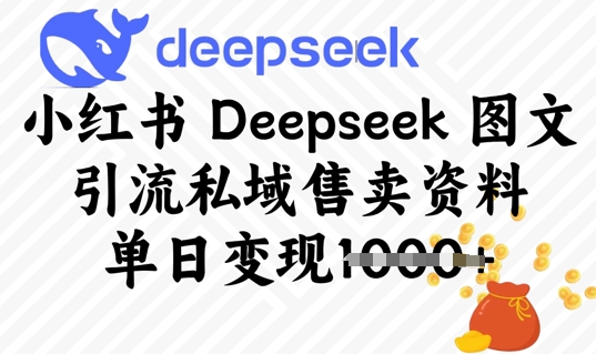 小红书Deepseek 图文引流私域售卖资料，单日变现多张-赚钱网