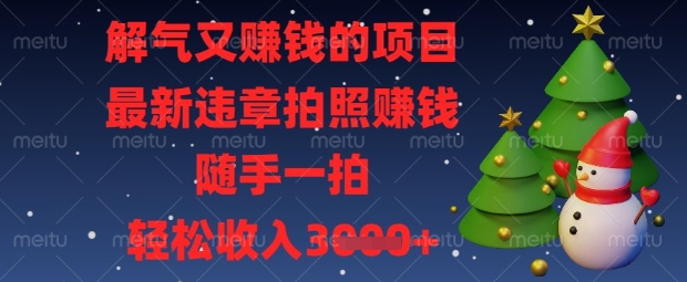 解气又挣钱的项目，最新违章拍照挣钱，随手一拍，轻松收入数张【揭秘】-赚钱网
