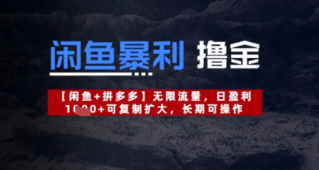 闲鱼暴利撸金无限流量，日盈利几张，可复制扩大，长期可操作-赚钱网