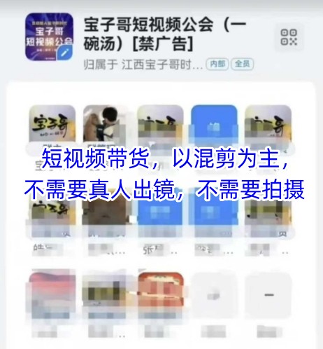 宝子哥头部团队短视频带货，以混剪为主，不需要真人出镜，不需要拍摄-赚钱网