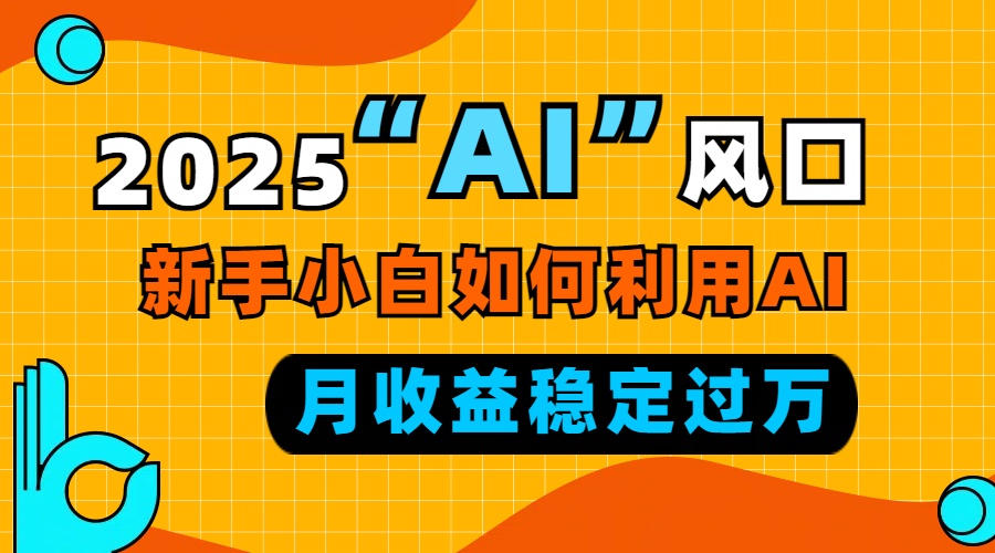（13821期）2025“ AI ”风口，新手小白如何利用ai，每月收益稳定过万-赚钱网