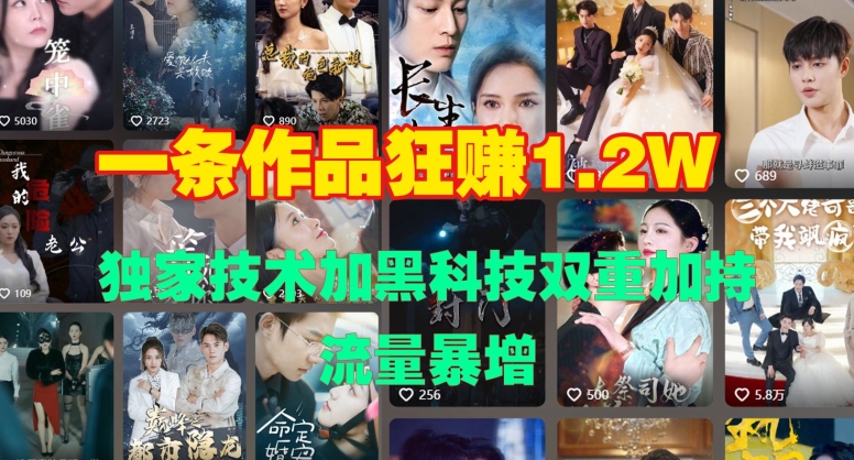 一条作品收益1.2w，独家技术加黑科技双重加持，流量暴增-赚钱网