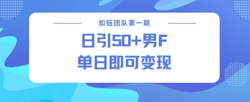 男粉引流新方法不违规，当日即可变现-赚钱网