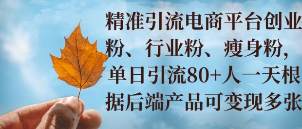 小投资撬动大收益，精准引流创业粉、行业粉，单日引流80+，一天可变现多张-赚钱网
